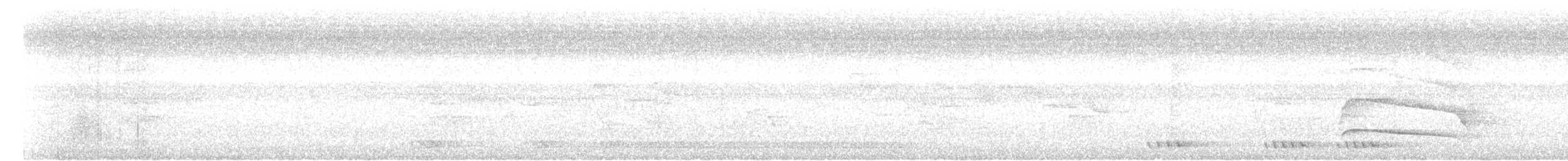 Banded Broadbill - ML621968880