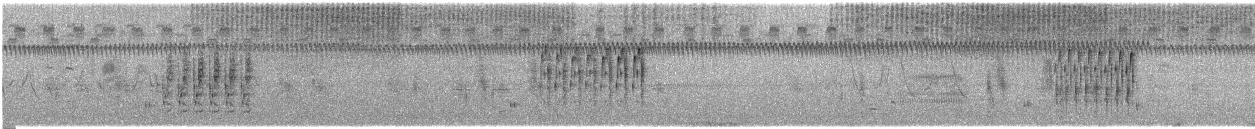 ハシナガヌマミソサザイ（palustris グループ） - ML621970116