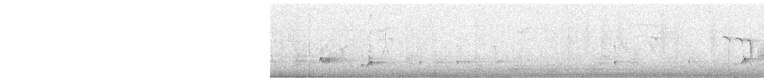 Ash-throated Flycatcher - ML621977966