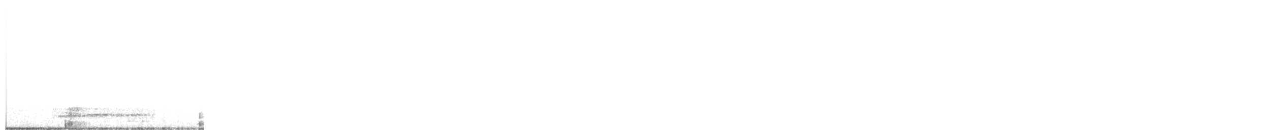 Thicket Tinamou - ML621986144