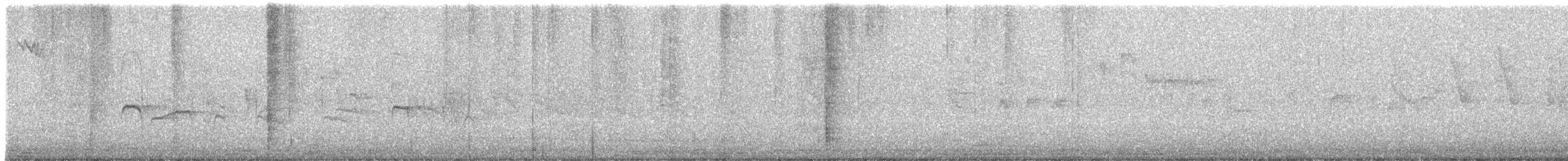 Southern Beardless-Tyrannulet - ML621990486