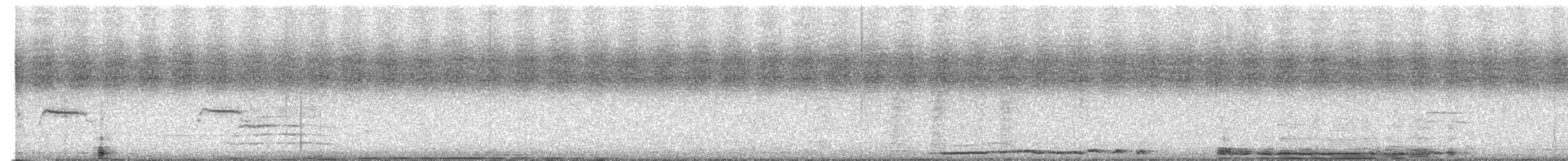 Northern Beardless-Tyrannulet - ML621998763