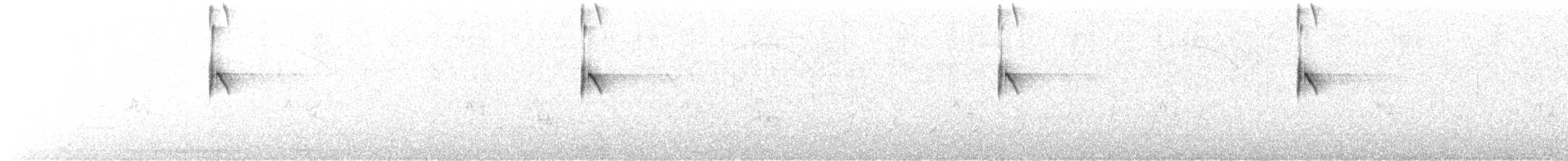 Schieferrücken-Königstyrann - ML622005994