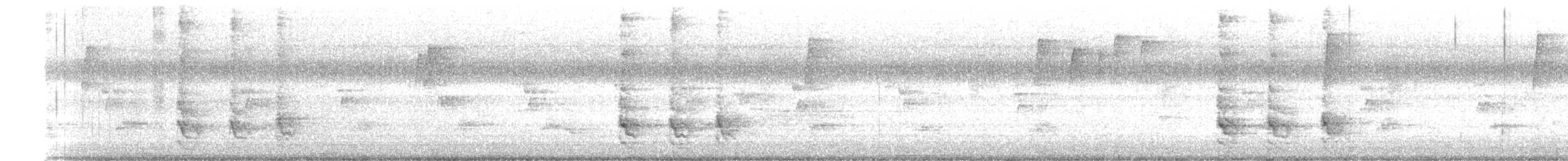 Red-bellied Woodpecker - ML622020426