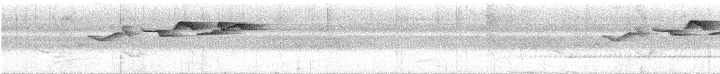 Biak Leaf Warbler - ML622025173