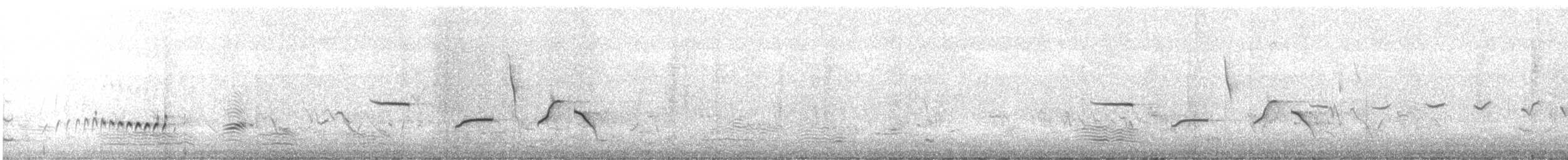 Tüpfelborstenvogel - ML622028335