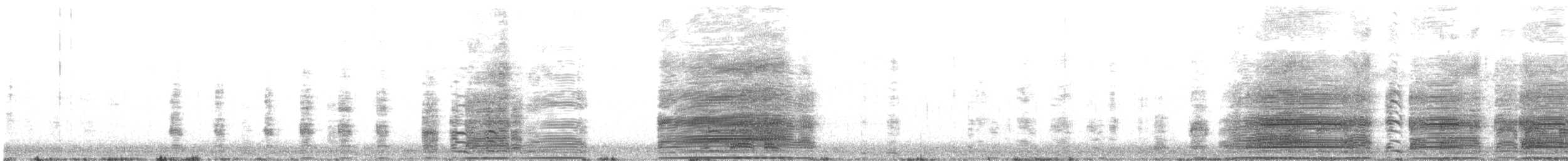 Graylag Goose (Domestic type) - ML622028502