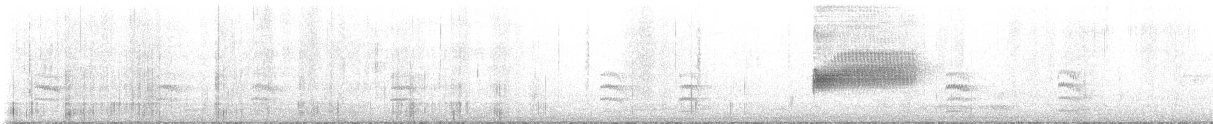 Sittelle à poitrine blanche (aculeata/alexandrae) - ML622034193