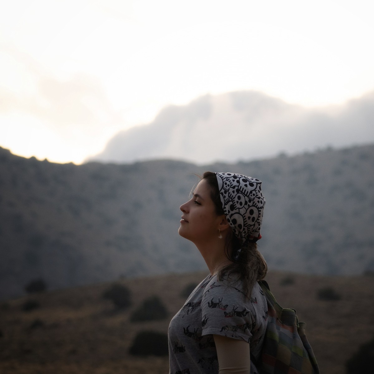 Nespecifikováno - Parto Iravani