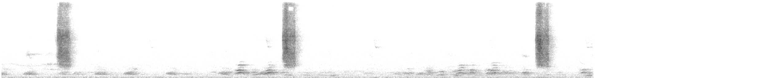 White-banded Mockingbird - ML622034807