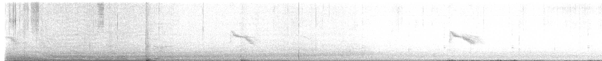 Bicknell Bülbül Ardıcı - ML622036438