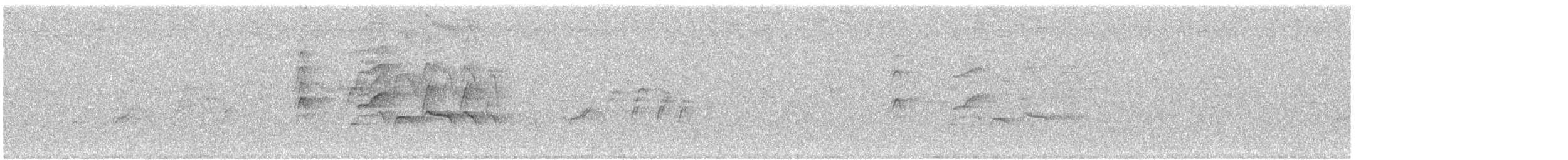 Kara Karınlı Islıkçı Ördek - ML622038332