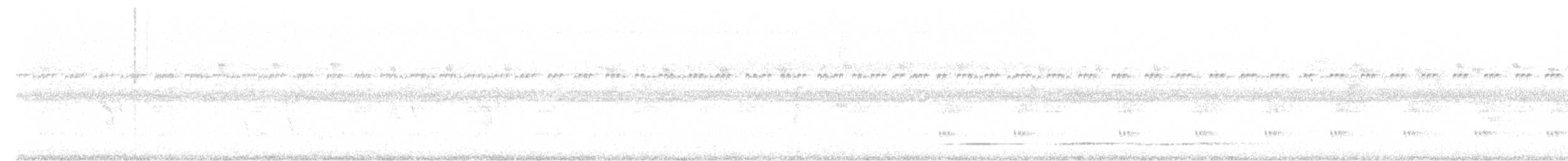 Undulated Tinamou - ML622038352