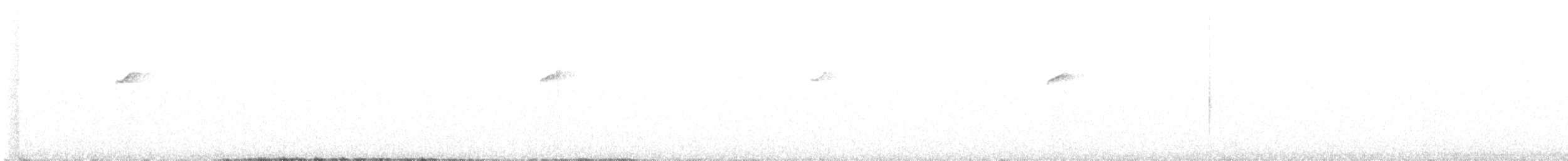 Batı Amerika Sinekkapanı (occidentalis/hellmayri) - ML622038463
