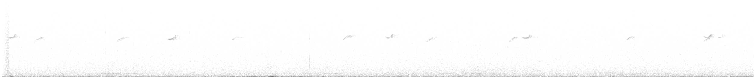 Batı Amerika Sinekkapanı (occidentalis/hellmayri) - ML622038464