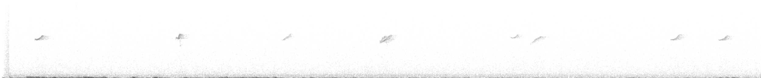 Western Flycatcher (Cordilleran) - ML622038465