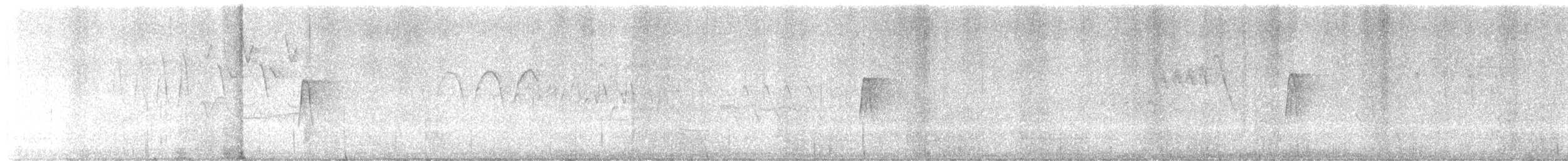 Yellow-bellied Flycatcher - ML622039979