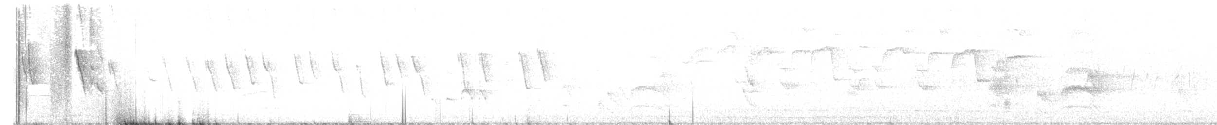 Büyük Kiskadi Tiranı - ML622041639