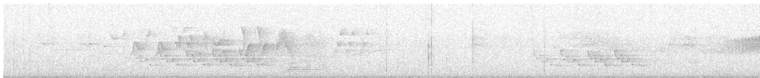 Каролинский крапивник - ML622042238