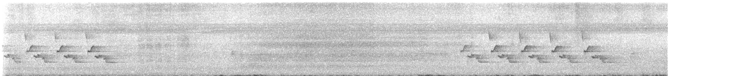 Поплітник каролінський - ML622043357