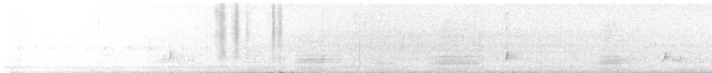 Brown-crested Flycatcher - ML622045315