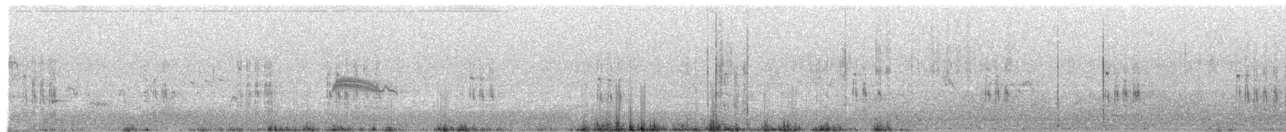 White-headed Woodpecker - ML622045621