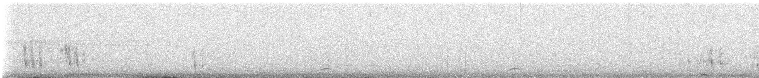 břehouš černoocasý - ML622046887