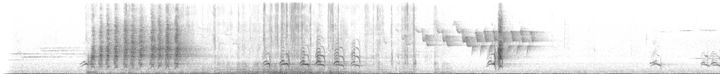 Mésangeai du Canada (groupe canadensis) - ML622047885