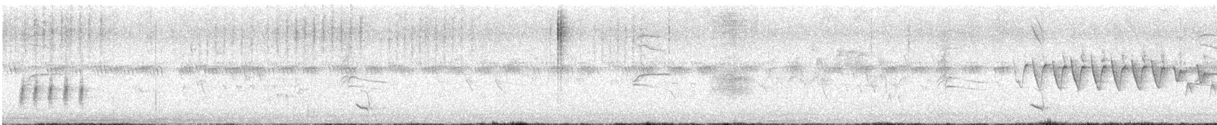 Ictérie polyglotte - ML622052593