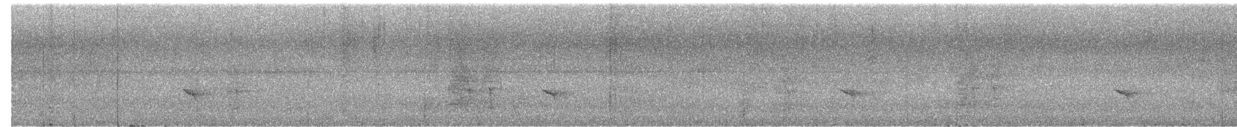 Guatemalan Tyrannulet - ML622054931