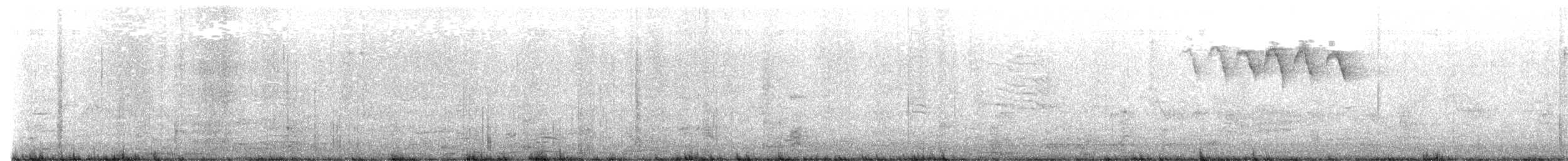 Cape May Warbler - ML622059557