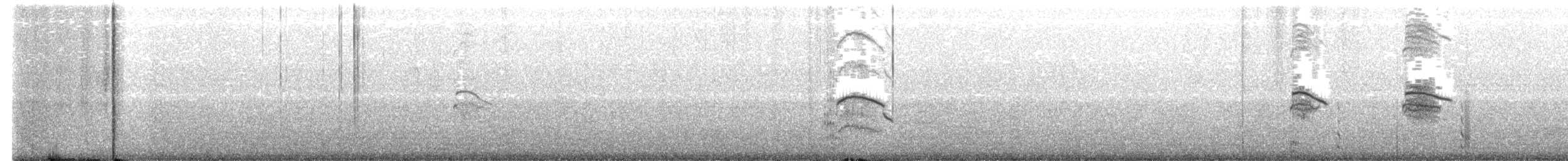 ギンカモメ（scopulinus） - ML622060128