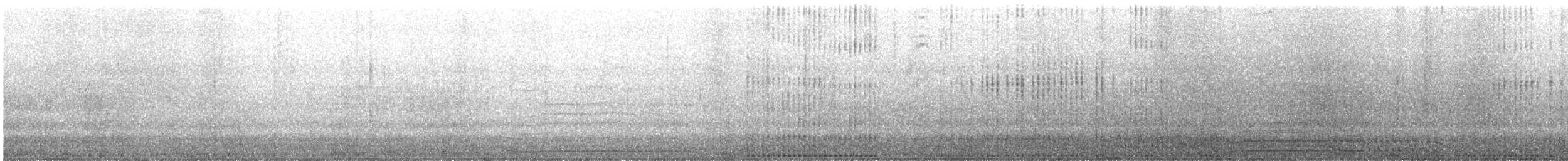 コビトペンギン - ML622062148