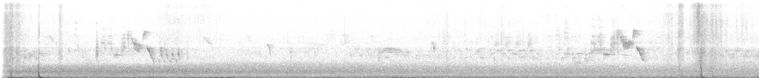 Black Phoebe (Northern) - ML622066863