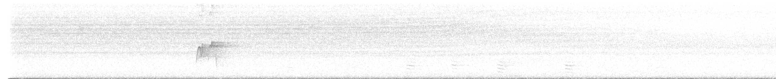 ミドリメジロハエトリ - ML622068951