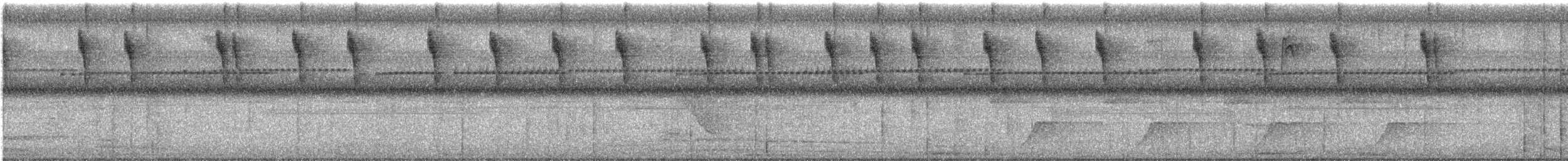 Colibri d'Élicia - ML622074467