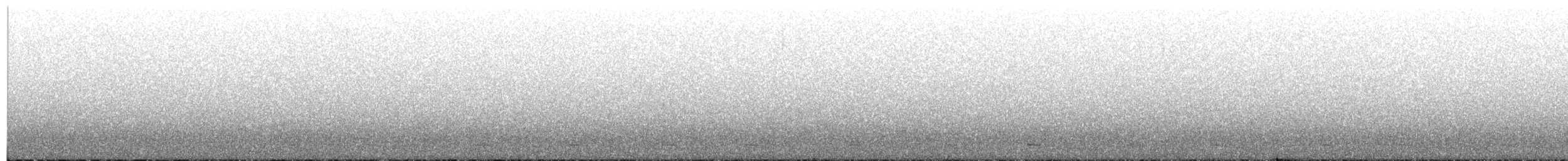 Сичик-горобець гірський (підвид gnoma) - ML622074683
