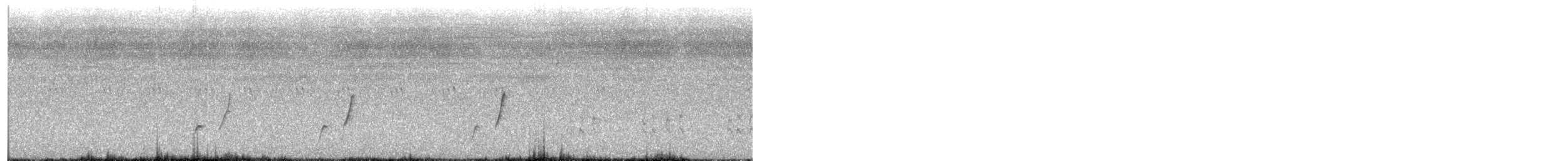 Curve-billed Thrasher (palmeri Group) - ML622075289