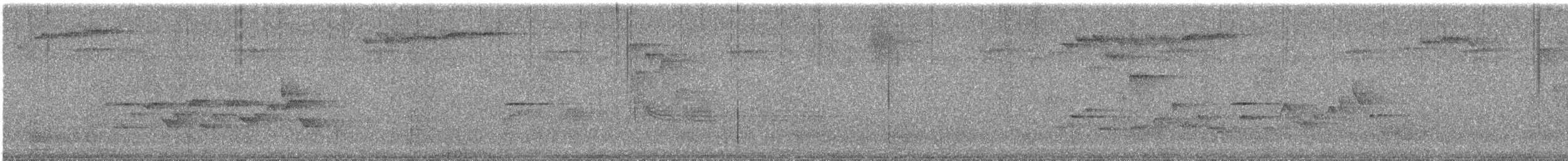 Поплітник каролінський - ML622079495