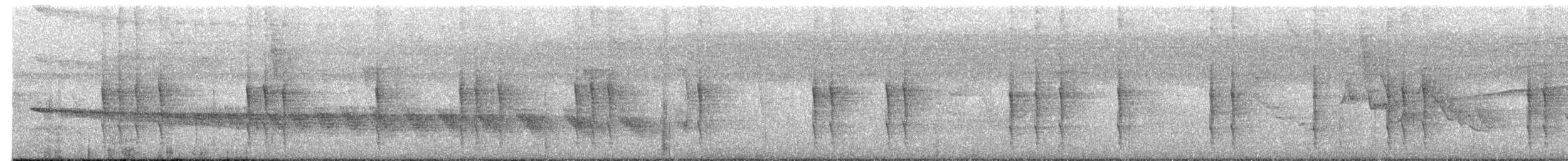 Troglodyte rufalbin - ML622084880