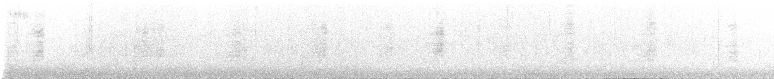 Warbling Vireo (Western) - ML622085213