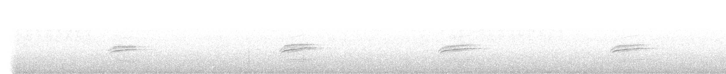 Дрізд-короткодзьоб плямистоволий - ML622098856
