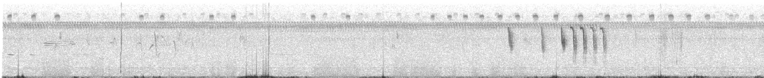 Sedge Wren - ML622104246