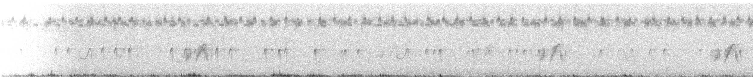 Mokokerra (12 mota) - ML622105103