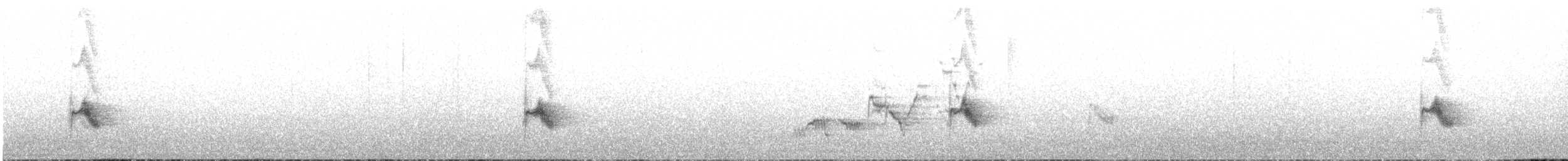 Дрізд-короткодзьоб канадський - ML62210871