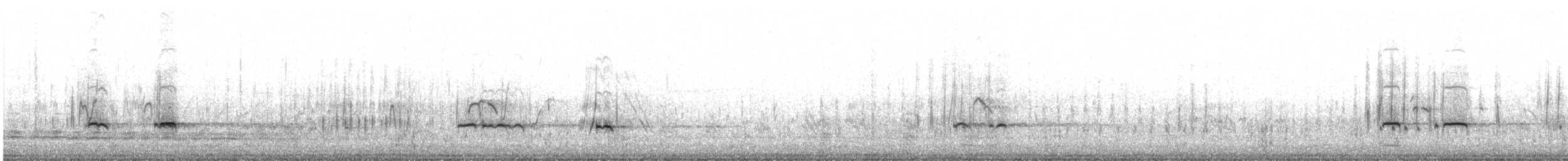čírka kropenatá (ssp. flavirostris) - ML622109319