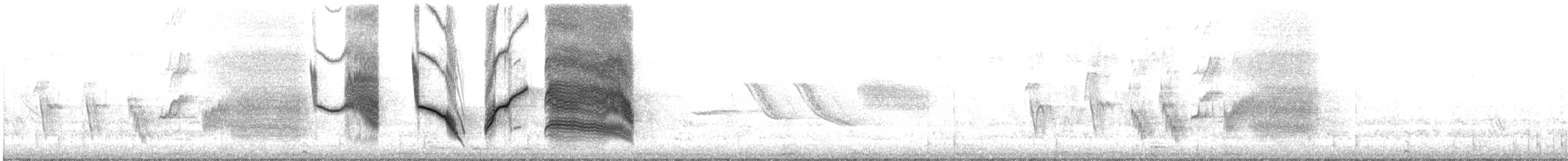 Long-tailed Meadowlark - ML622109704