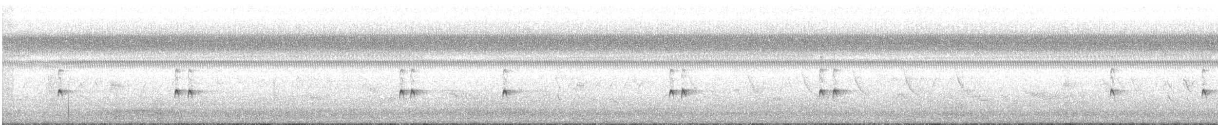 Каролинский крапивник - ML622110717