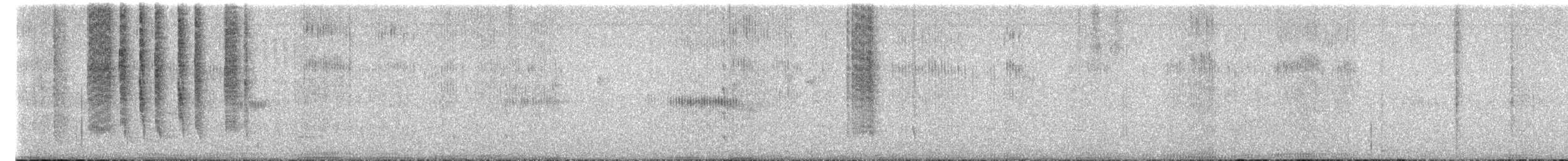 Kara Boğazlı x Geniş Kuyruklu Kolibri - ML622118549