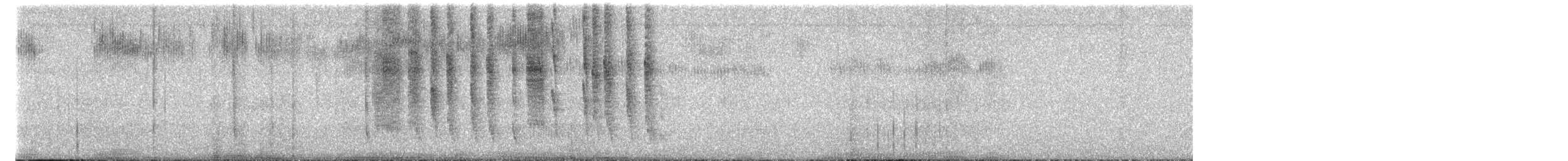 Kara Boğazlı x Geniş Kuyruklu Kolibri - ML622118550